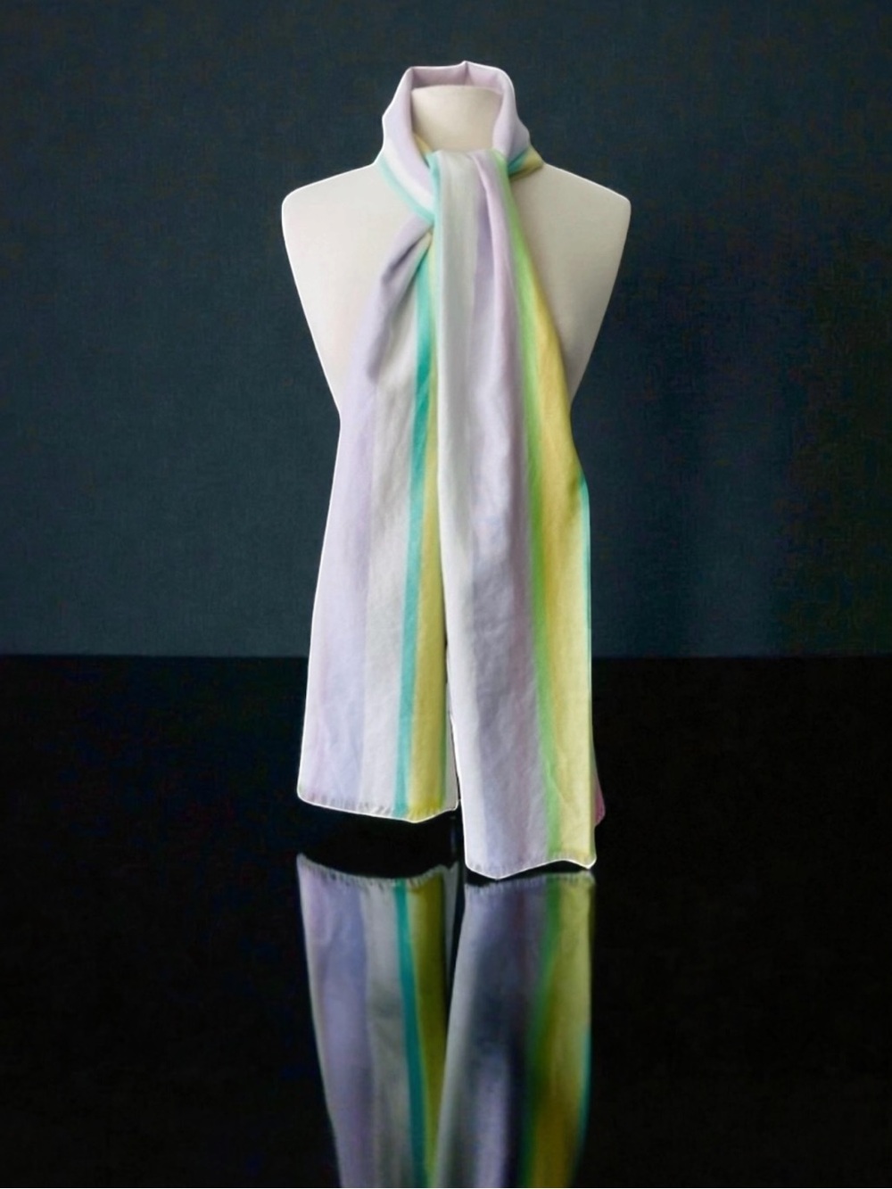 ETRO Cashmere Silk Blend Scarf Shawl New 27x76